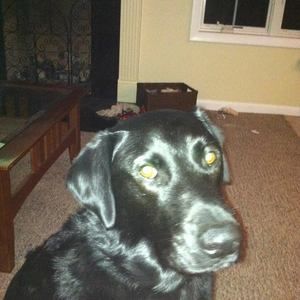 Meet your Posher, Vikki